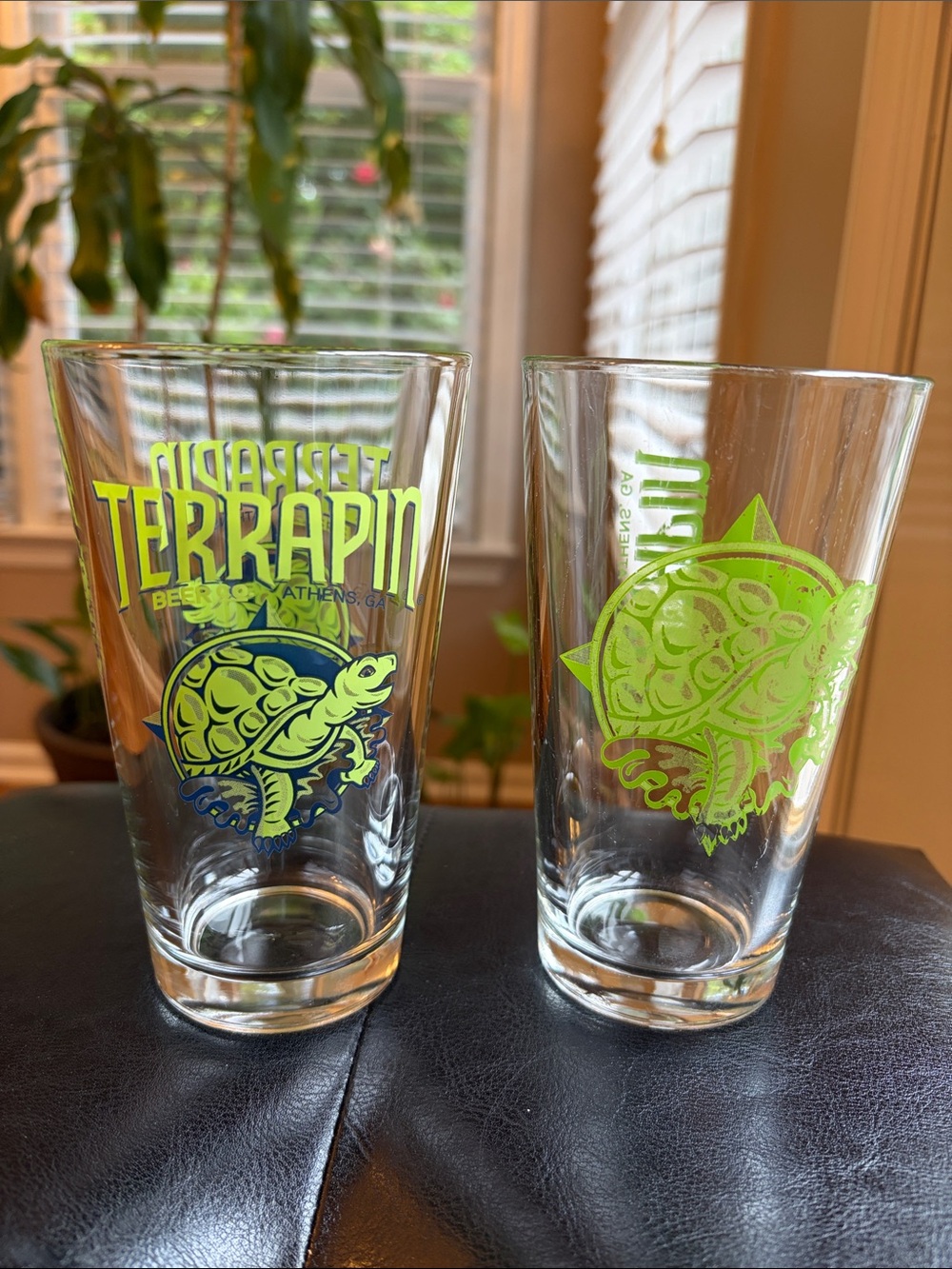 Terrapin Beer Co. Beer Glass 16 oz. Pint Athens, GA Brewery Set of 2.